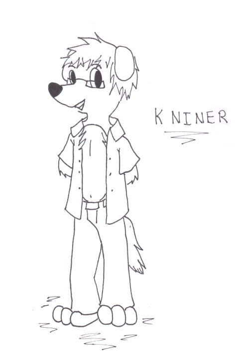Mr K. Niner
